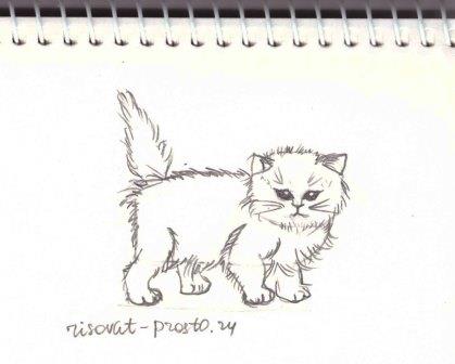 Как нарисовать кошку как рисовать котов фото