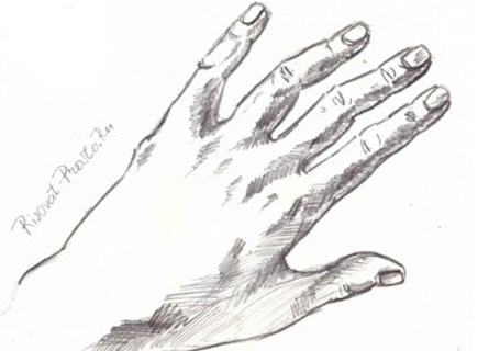 Как нарисовать руку